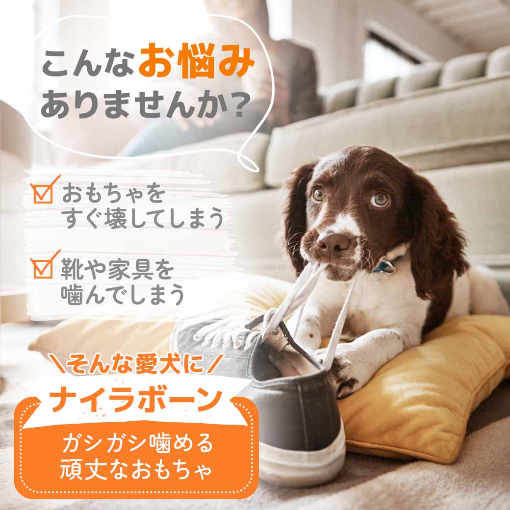ナイラボーン デンタルチュウ ダイナソー レギュラーサイズ