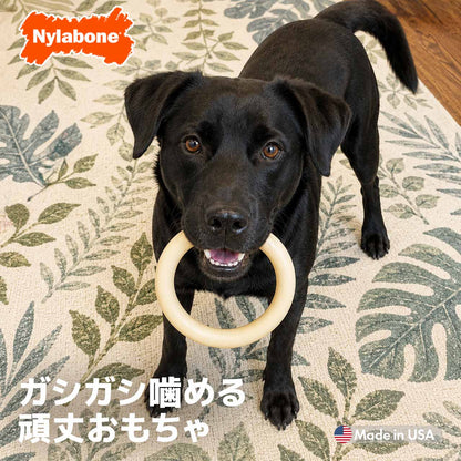 ナイラボーン デュラチュウ リング ジャイアントサイズ メール便OK