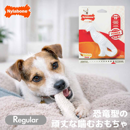 ナイラボーン デンタルチュウ ダイナソー レギュラーサイズ