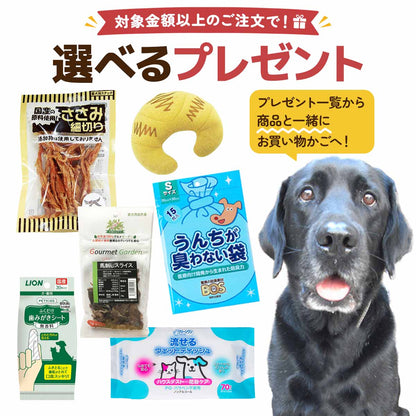 【単品注文不可】選べるプレゼント 9,000円以上のご注文で一覧から1点選べます メール便OK