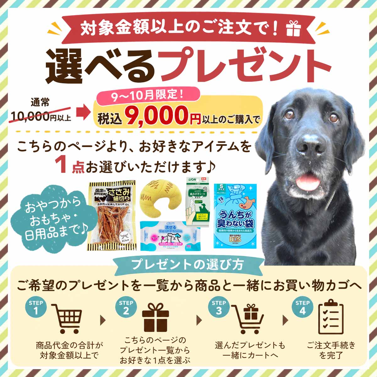 【単品注文不可】選べるプレゼント 9,000円以上のご注文で一覧から1点選べます メール便OK
