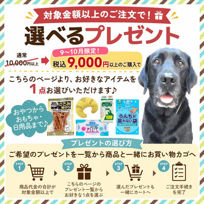 【単品注文不可】選べるプレゼント 9,000円以上のご注文で一覧から1点選べます メール便OK