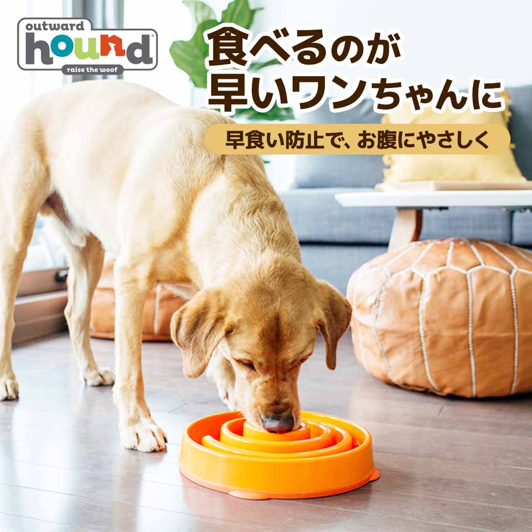 アウトワードハウンド ファン＆スロウフィーダーボウル ミニ 2カップ 食器 早食い防止