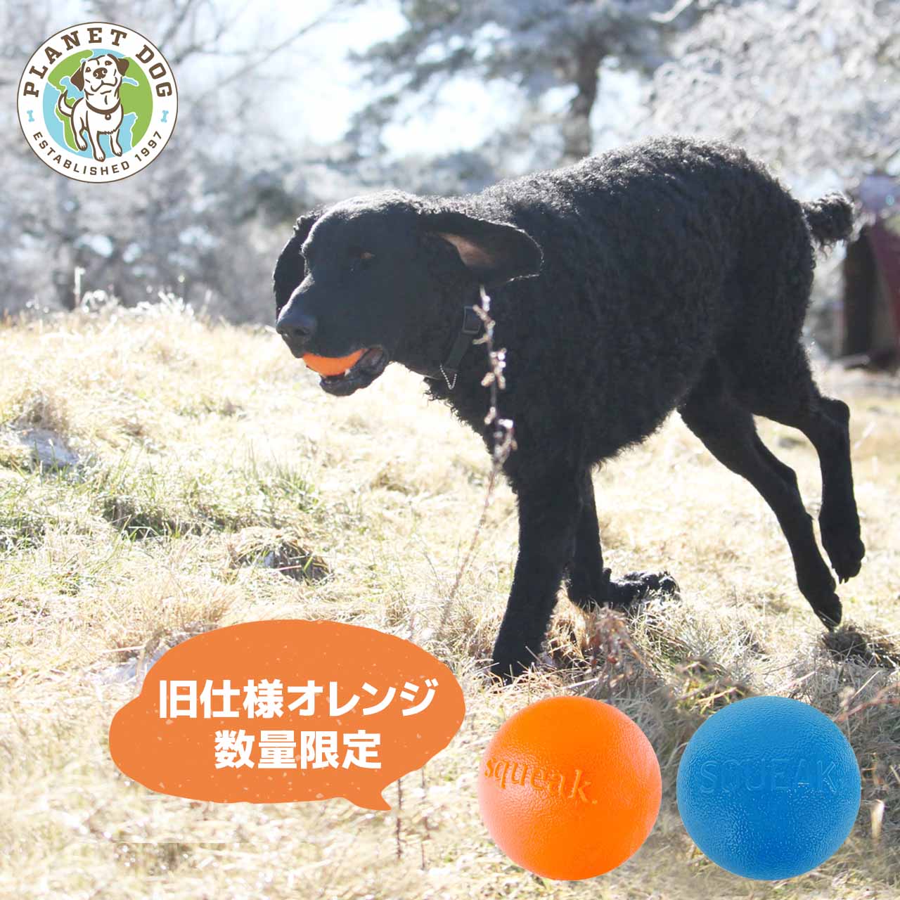 プラネットドッグ オービータフ スクイークボール