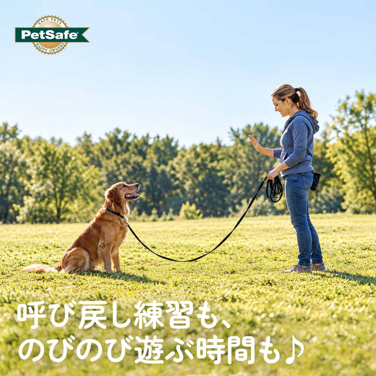 ペットセーフ コットントレーニングリード 1.6cm幅 長さ約4.5m/6m