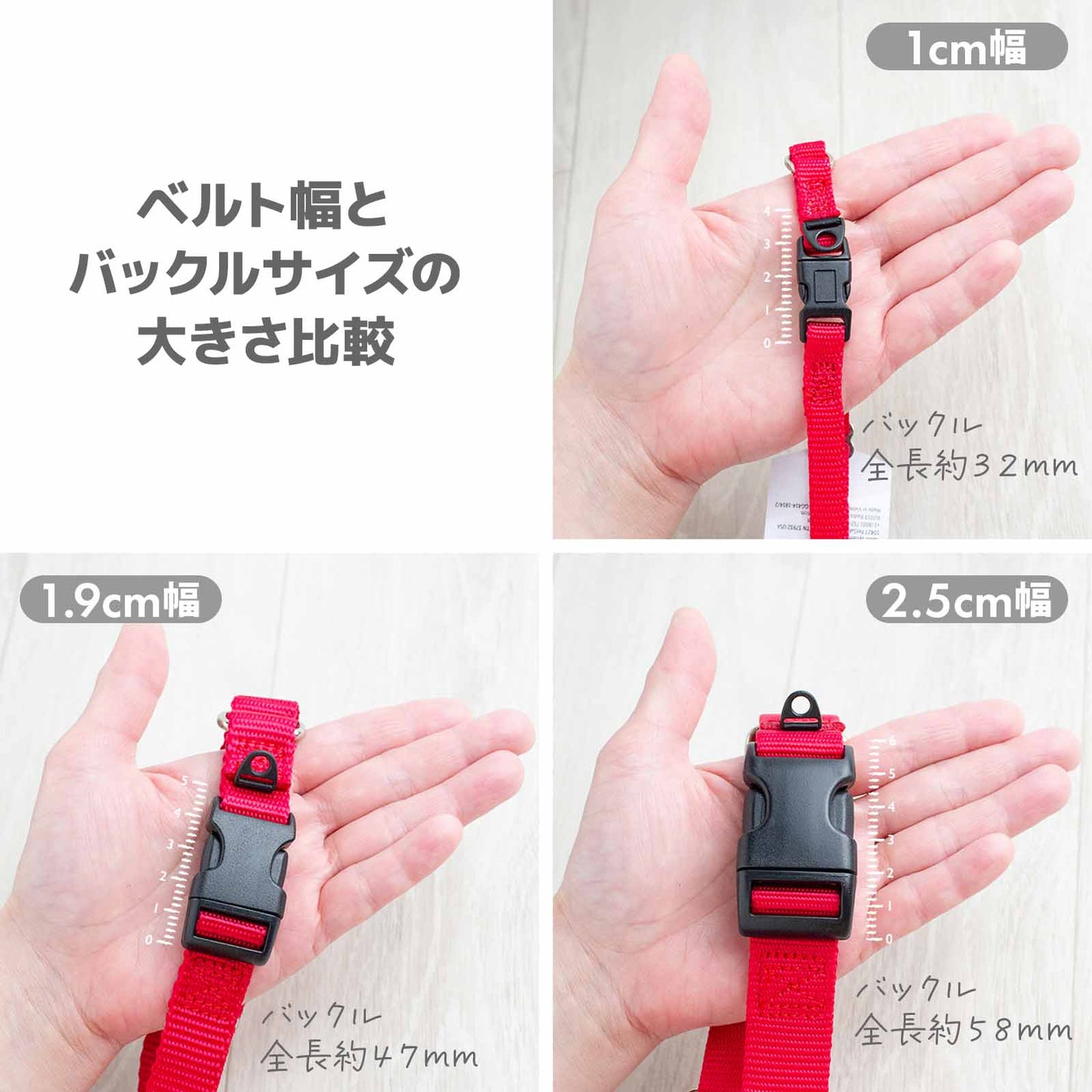 ペットセーフ プレミアカラー with クイックスナップ 2.5cm幅 Mサイズ メール便OK