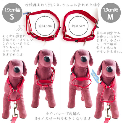 ペットセーフ プレミアカラー 1.9cm幅 Sサイズ メール便OK