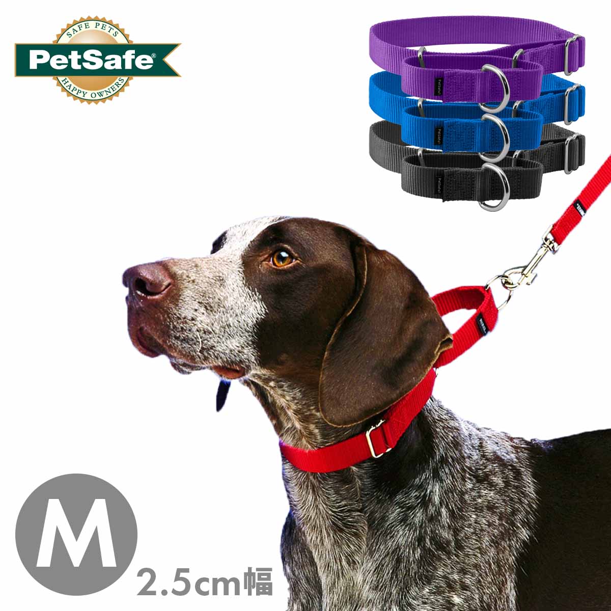 ペットセーフ プレミアカラー 2.5cm幅 Mサイズ メール便OK – DearDogs