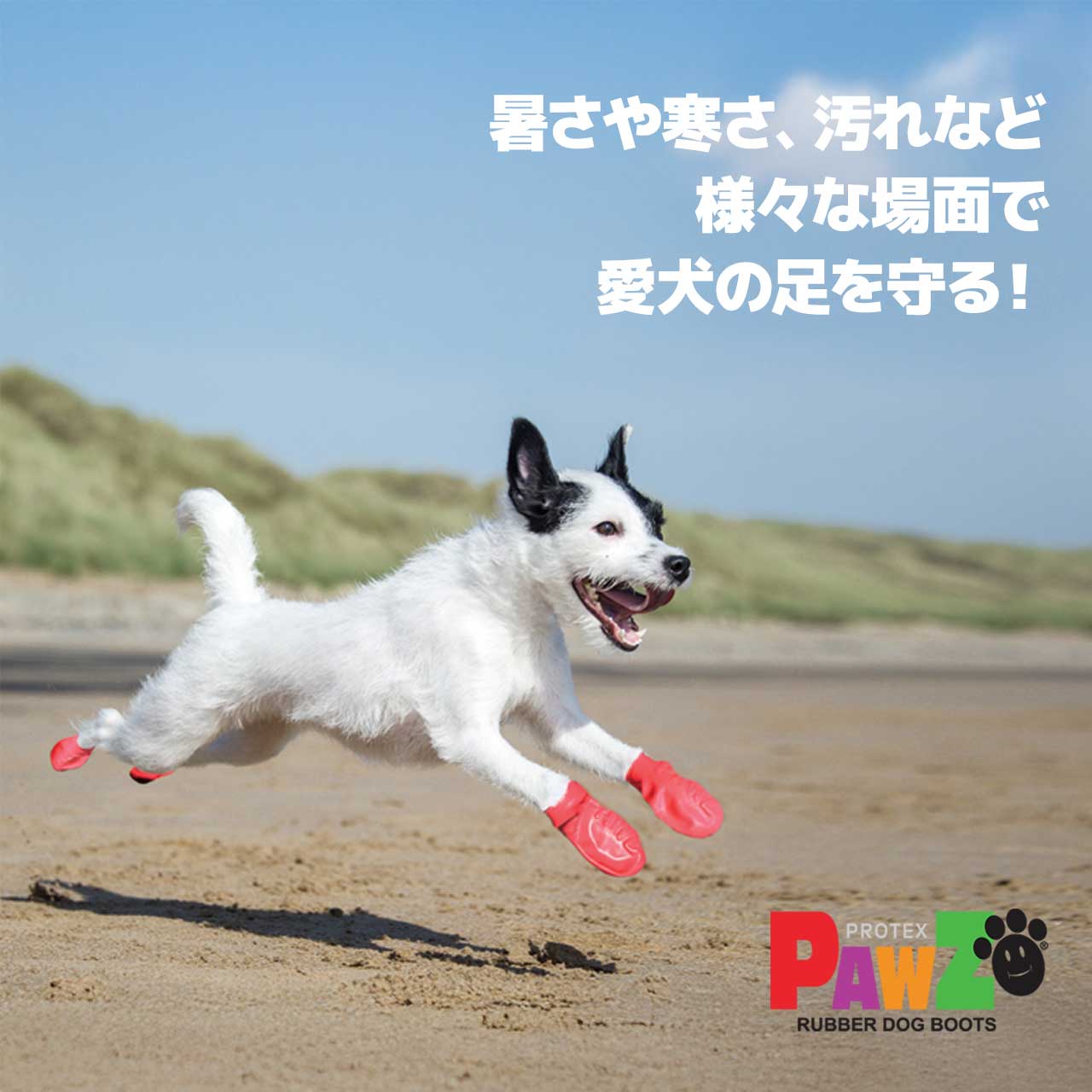 PAWZ パウズ ラバードッグブーツ XSサイズ ブラック 12枚入 小型犬向け