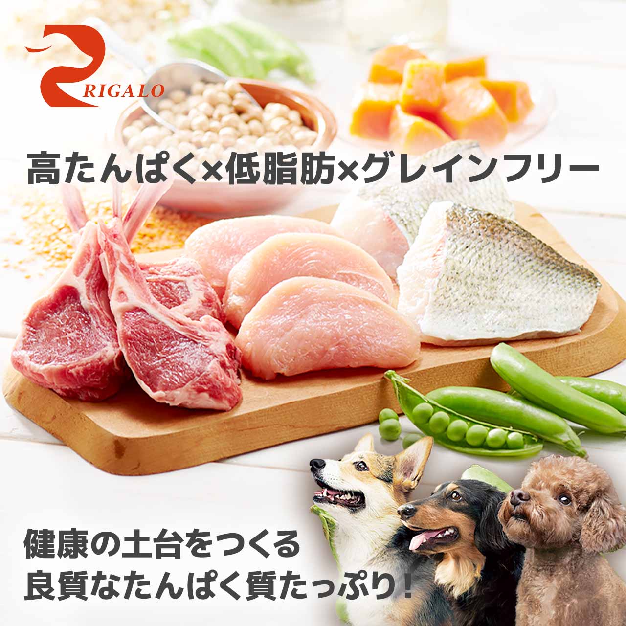 リガロ ハイプロテインレシピ ターキー 子犬成犬用 3.6kg – DearDogs