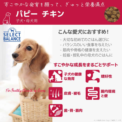 セレクトバランス パピー チキン 小粒 7kg 子犬・母犬用
