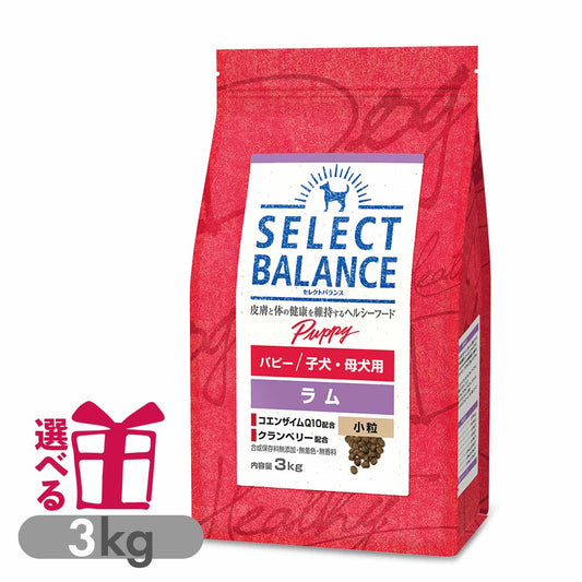 セレクトバランス パピー ラム 小粒 3kg 子犬・母犬用