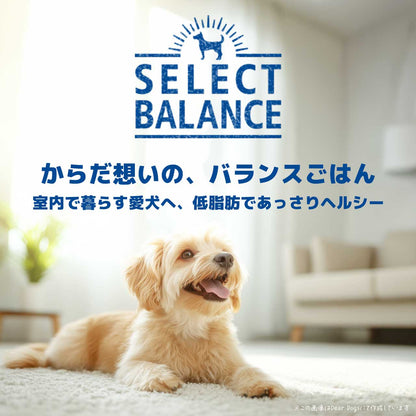 セレクトバランス スリム ラム 小粒 1kg 成犬の体重管理用