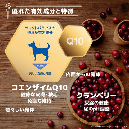 セレクトバランス スリム ラム 小粒 1kg 成犬の体重管理用