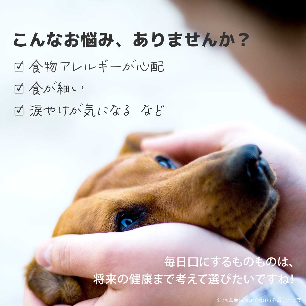 ソルビダ オーガニック＆グレインフリー ドッグフード 