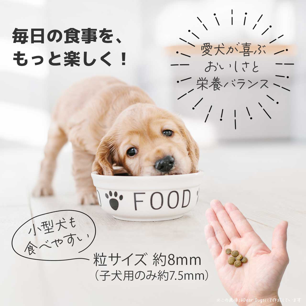 ソルビダ オーガニック＆グレインフリー ドッグフード 