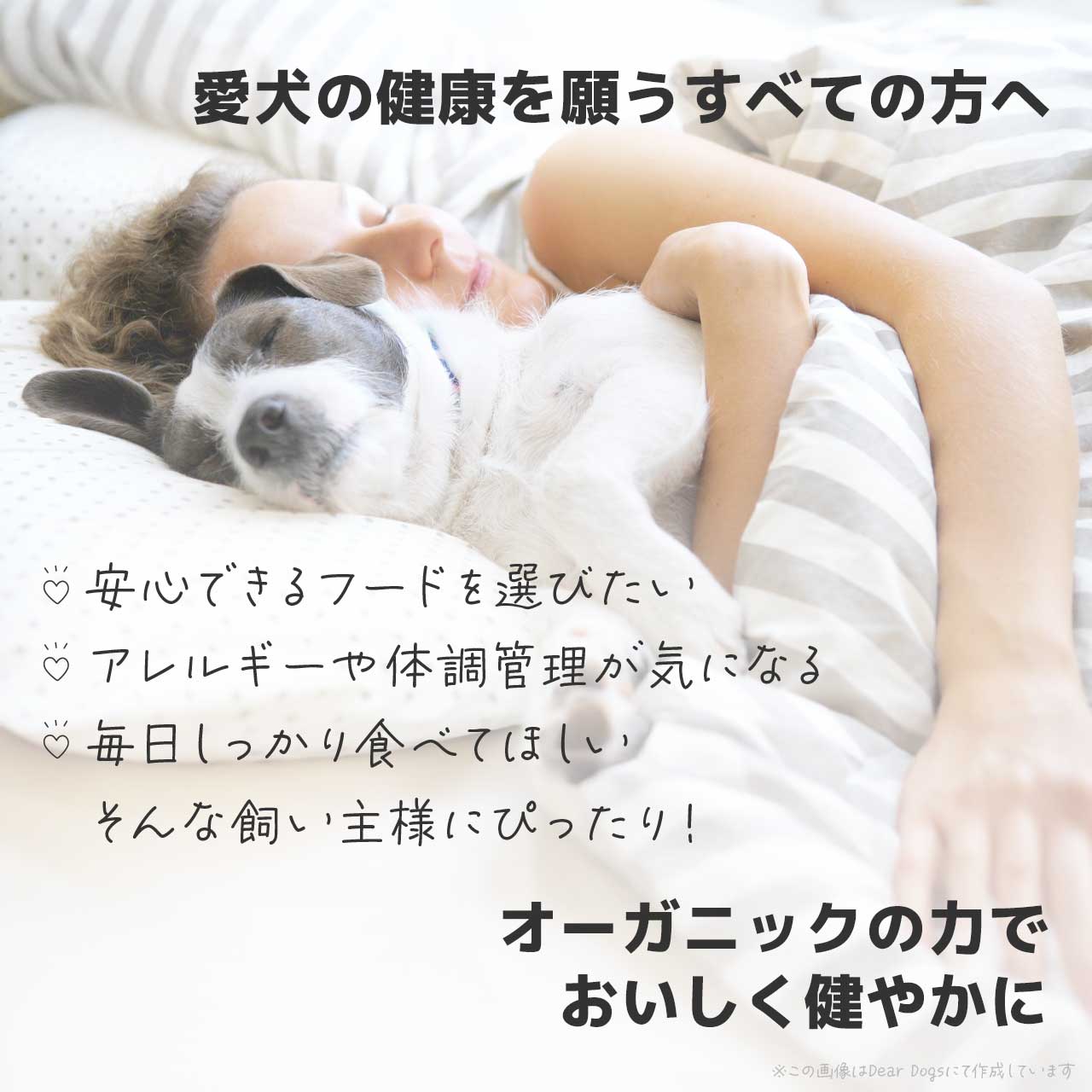 ソルビダ オーガニック＆グレインフリー ドッグフード 