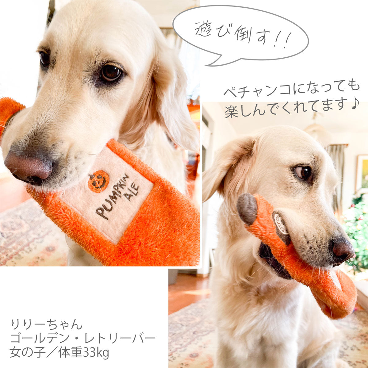 ジッピーパウズ ハッピーアワークラッシャーズ ハロウィン パンプキンエール