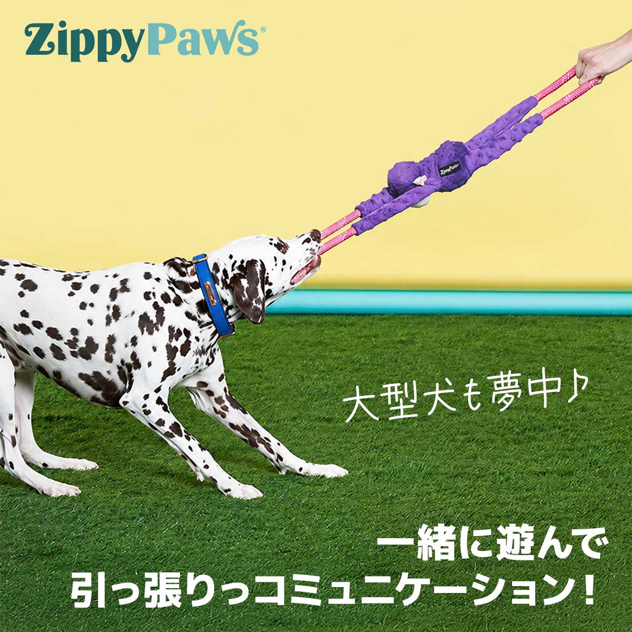 ジッピーパウズ モンキーロープタグ パープル