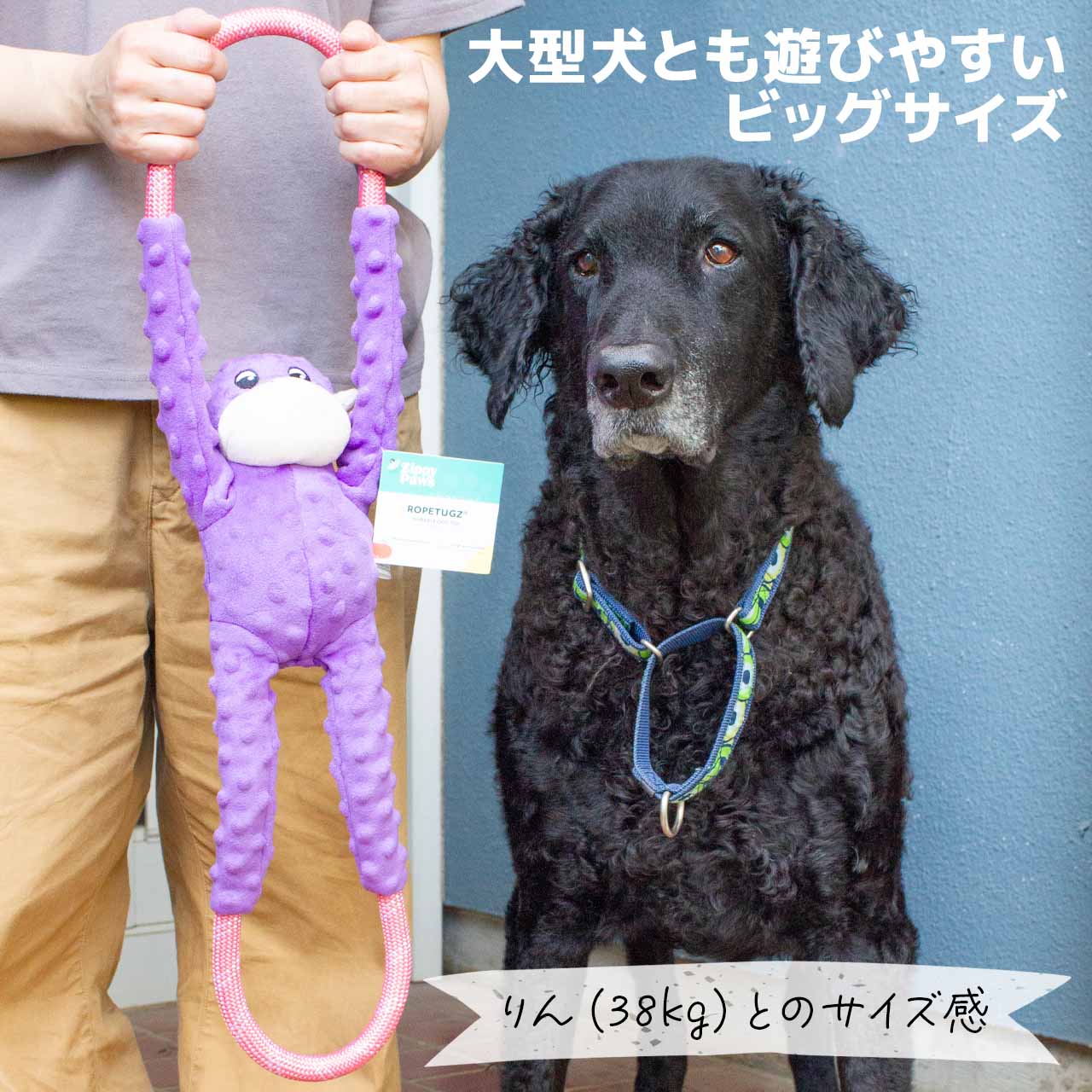 ジッピーパウズ モンキーロープタグ パープル
