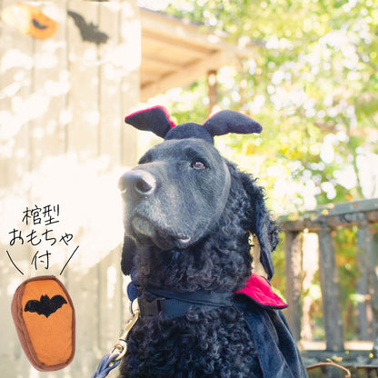 ジッピーパウズ ホリデー ハロウィン コスチュームキット ドラキュラ 3点セット