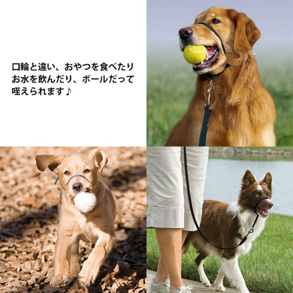 ペットセーフ ジェントルリーダー ヘッドカラー パッケージ版 日本語説明書付